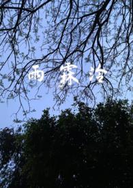雨霖泠原文