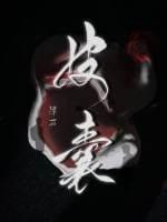 皮囊歌词