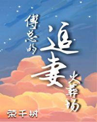傅总的追妻火葬场的