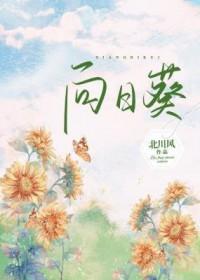向日葵亩均增产30斤