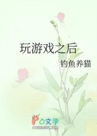 游戏玩了