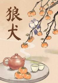 长毛狼犬