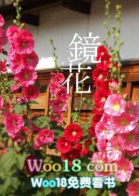 镜花glabo