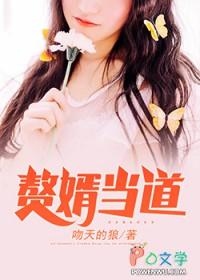 赘婿当道全本TXT