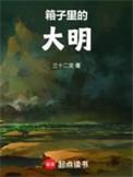 箱子里的大明纯手打