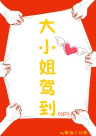大小姐驾到(np)
