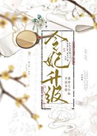 清穿之令妃升级日常全文免费