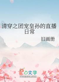 清穿之团宠皇孙的直播日常 旧画册