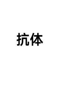 抗体nP