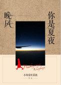 你是夏夜晚风 小布爱吃蛋挞主要讲的是什么