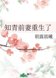 知青前妻重生了铃溪