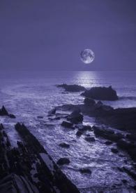 暗夜写的