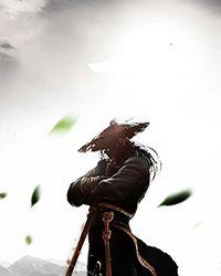 海贼王之波涛汹未删