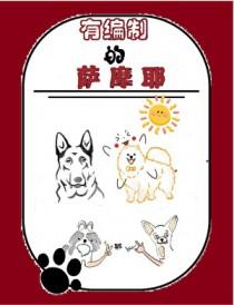 萨摩耶呆萌