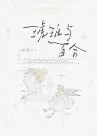 HE琥珀