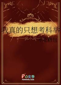 我真的只想打铁起点