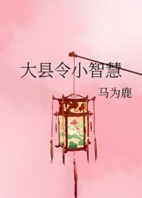 大县令小智慧