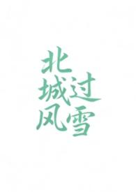 北城过风雪(高干1v1)